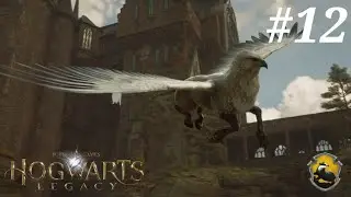 Hogwarts Legacy Episode 12: Fantastic Beasts