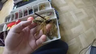 Top 5 fall fishing baits