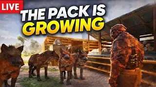 The Pack Is Growing 🦮 | Ark Ascended