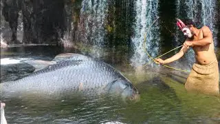 Primitive life: Primitive Boy Use Bow Arrow Catch Fish - Cooking Fish Eating Delicious
