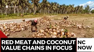 FAO Backs Nigeria&rsquo;s Red Meat and Coconut Drive for Jobs and Food Security