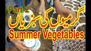 Kitchen Gardening Season Starts in Lahore Pakistan / Summer vegetables Sowing
