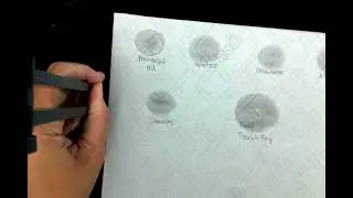 Lipids Test Grease Spot Setup