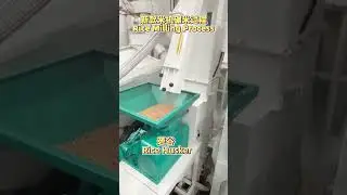 Sunfield new model rice milling machine  #ricemill#ricemillingmachine #ricemillplant