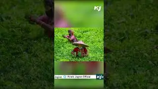 World's Most Famous Assam Tea🌿#assamteagarden #assamtea #trendingvideo #shorts #assamese