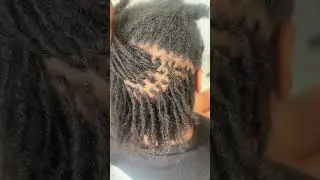 From Fro to Fresh! Retwist Transformation | Locs Journey #locs #locstyles