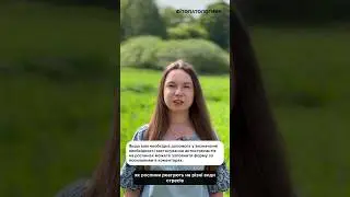 Як визначити хворобу зернових? #shortsvideo #agronomia #field #ukraine #агроном