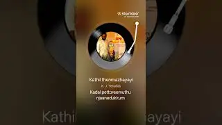 Kaathil thenmazhayay cover by Narthazvee 
