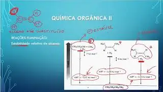 Reações de Eliminação: Regras de Zaitsev e Hofmann