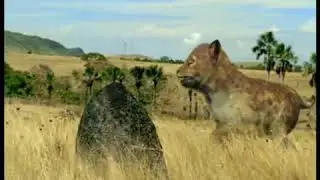 Walking with Beasts Se1 - Ep05 Sabre Tooth - Part 01