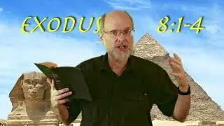 Exodus 8:1-4 The Second Plague: Frogs