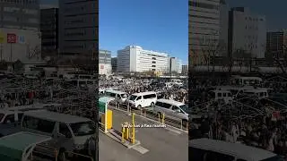 This is Tokyo&rsquo;s LARGEST flea market!