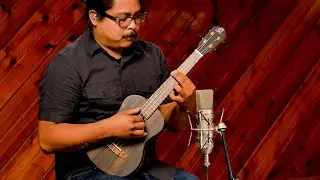 Timber Tenor Ukulele by Ortega Guitars - Ebony Top - RUEB-TE