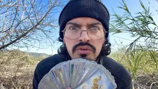 How they REALLY FEEL right now!! Pick a Card Timeless Tarot Reading