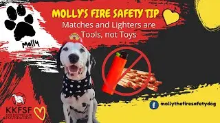 Molly's Safety Tip: Matches and Lighters Are Tools Not Toys