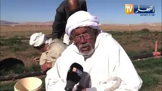 خنشلة / إنتاج الزعفران ..تجربة ناجحة وإضافة هامة للإقتصاد الوطني