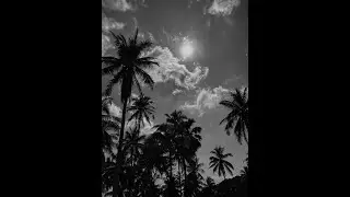 [FREE] La feve x Zequin type beat 