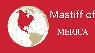 North American Mastiff NAM - healthy mastiff with supressed working drive. Some things to consider.