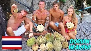 Durian Heaven In Koh Phangan Thailand + Durian Farm VLOG