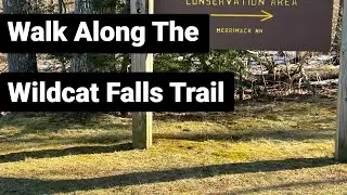 Winter Walk Along The Wildcat Trail