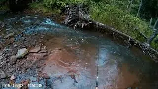 Siskiwit Falls Trout Fishing