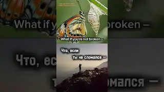 Ты не сломался. Ты прошёл через тьму. You&rsquo;re not broken. You walked through the dark. #motivation