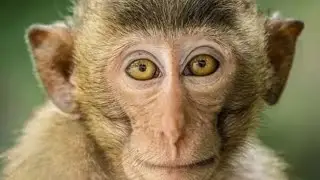 TOP 5 FOOD