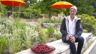 Landesgartenschau Überlingen 2021 - Villengarten der Firma Widenhorn - Gärten am See