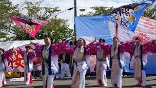 桜舞連 YOSAKOIかすや祭り 10/11/2025