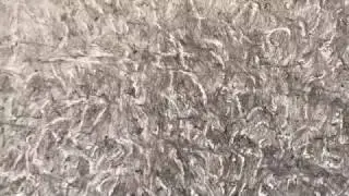 Femke Gerestein 01 - Kunst on Location 2017