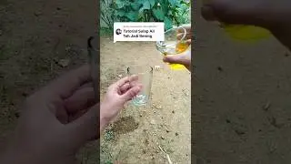 Tutorial Sulap Air Teh Menjadi Air Bening #sulapairtehjadibening #sulap #alatsulap