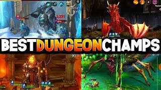 Top 5 RARE Champions for EVERY Dungeon!