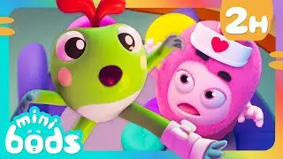 Newt&rsquo;s Toad-ally Awesome Rescue! 🐸💚 | Minibods | Preschool Cartoons for Toddlers