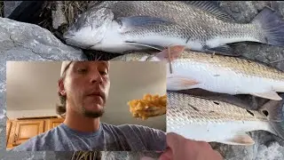 Catch and Cook Black Drum