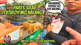 INSTANT BREEDER KANA DITO.. / FREE CAT  FOR REHOMING../ AUG. 29 CONT'N @BOCAUE PET MARKET