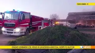 Stagno Lombardo (CR): rogo in un'azienda agricola, morte 95 mucche