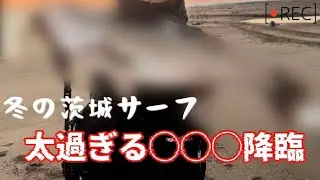 冬の茨城サーフ太すぎる〇〇〇降臨　　　　　　　　　#サーフ#釣り#ヒラメ#シーバス#鹿島灘