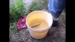 Poisson Volant