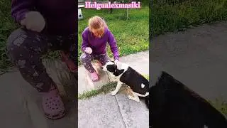 Реакция мамы на собаку! #helgaalexmasiki #tiktok #shorts #comedy #subscribe #family #memes #school