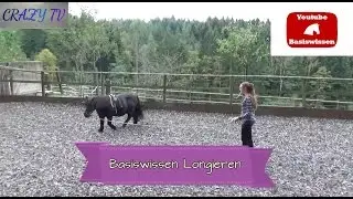 [Pferde-Basiswissen] Tipps zum Longieren  | Crazy TV