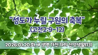 (새생명-13) 