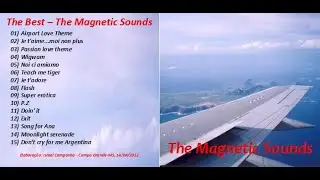 The Magnetic Sounds
