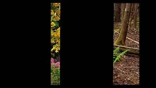Randy Bullerwell Photography