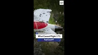 What Caused the Flight 171 Fuel Cutoff?