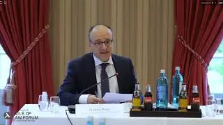 T&euml; drejtat e Konvent&euml;s jan&euml; c&euml;nuar nga Covid-19 dhe nga p&euml;rgjigjet e shteteve ndaj pandemis&euml; (2)