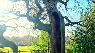 Sutton Park    Boldmere Gate   Sutton Coldfield