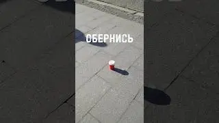 TODA - Обернись