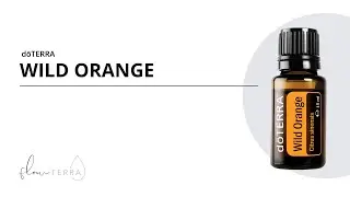 WILD ORANGE von dōTERRA //  Öl-Lexikon mit Madeleine von flowTERRA