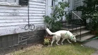 ExteriorRailing