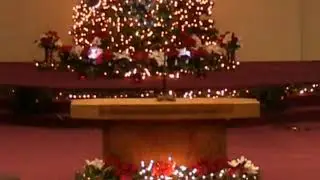 Matthew Stidham Live Stream